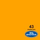 Ciclorama de Papel SAVAGE 2.18x11mts. 43 MARMALADE