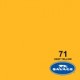 Ciclorama de Papel SAVAGE 1.35x11mts. 71 DEEP YELLOW
