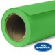 Ciclorama de Papel SAVAGE 1.35x11mts. 46 TECH GREEN